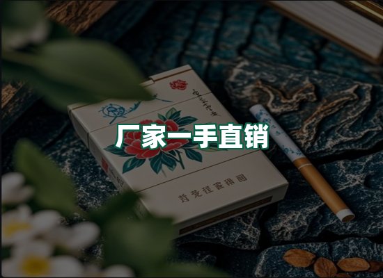 核心优势